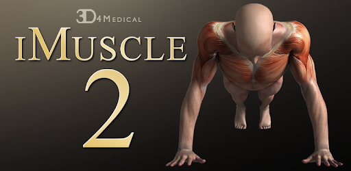 Imuscle 2
